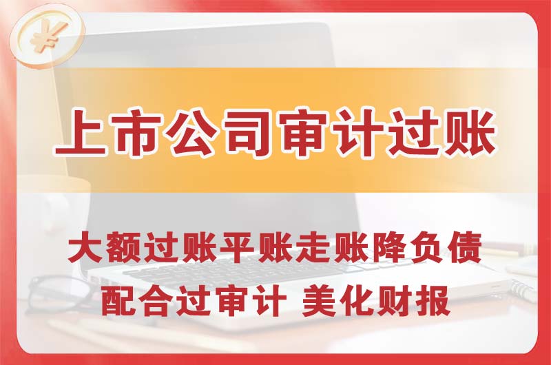 六安上市公司审计过账